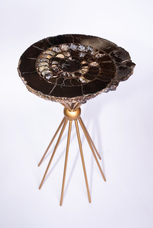 Ammonite Fossil Side Table