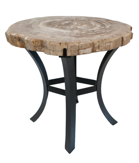 Petrified Wood Side Table w/ Iron Base
