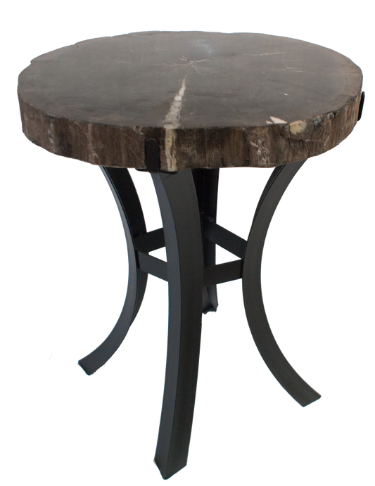 Petrified Wood Side Table w/ Iron Base