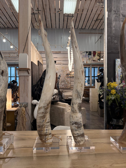 Steer Horn Finial/Luciate Base Pair