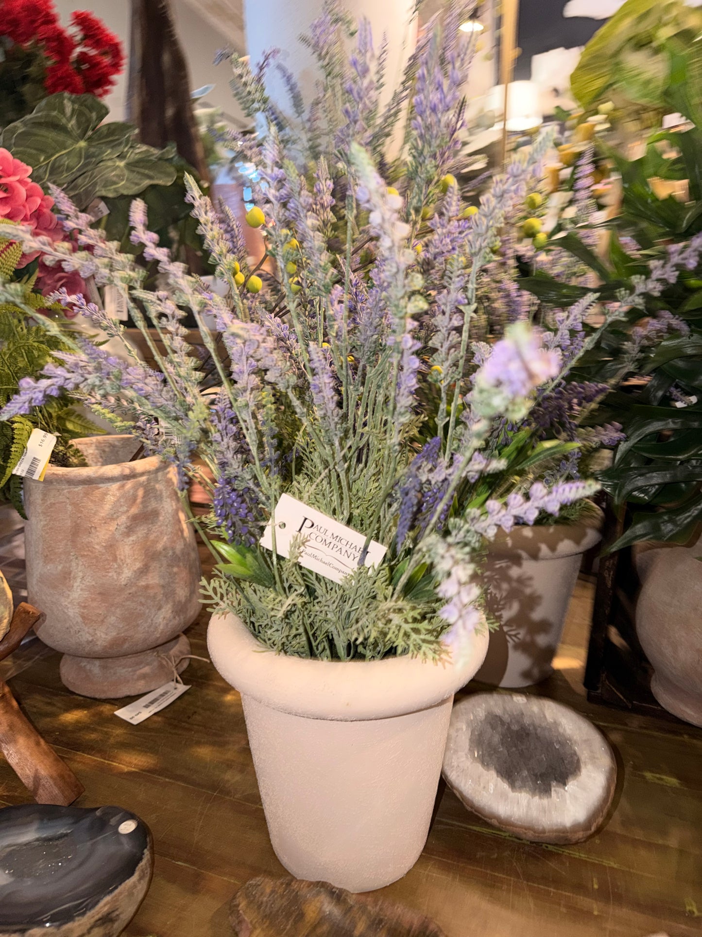 Lavender Terracotta Pot