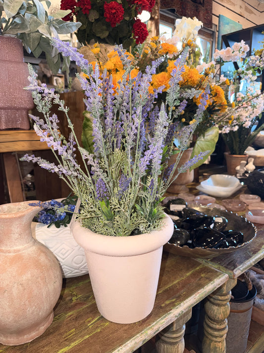 Lavender Terracotta Pot
