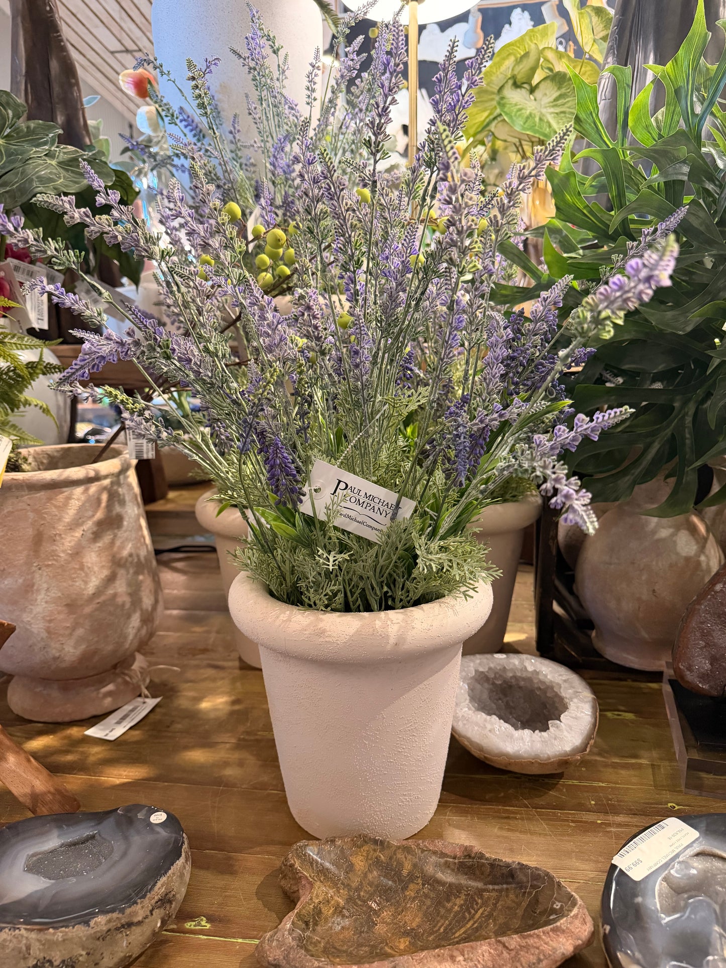 Lavender Terracotta Pot