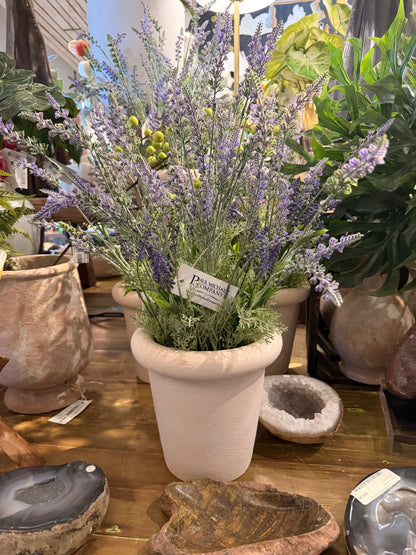 Lavender Terracotta Pot