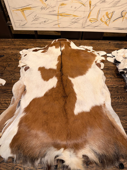 Goat Hide - White and Brown/Tan Hide