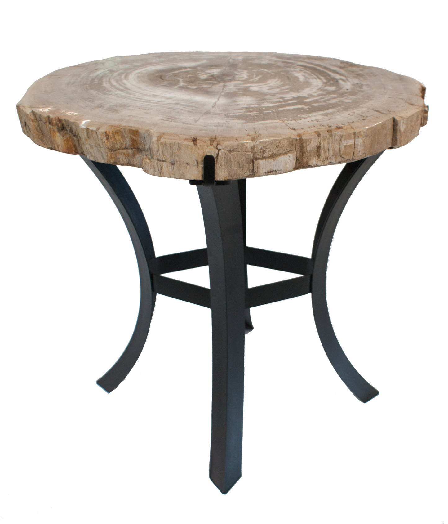Petrified Wood Side Table w/ Iron Base