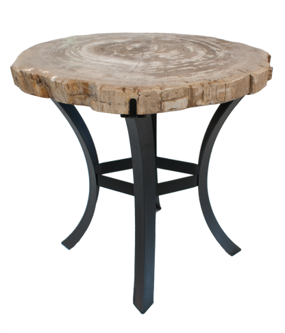 Petrified Wood Side Table w/ Iron Base