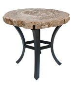 Petrified Wood Side Table w/ Iron Base