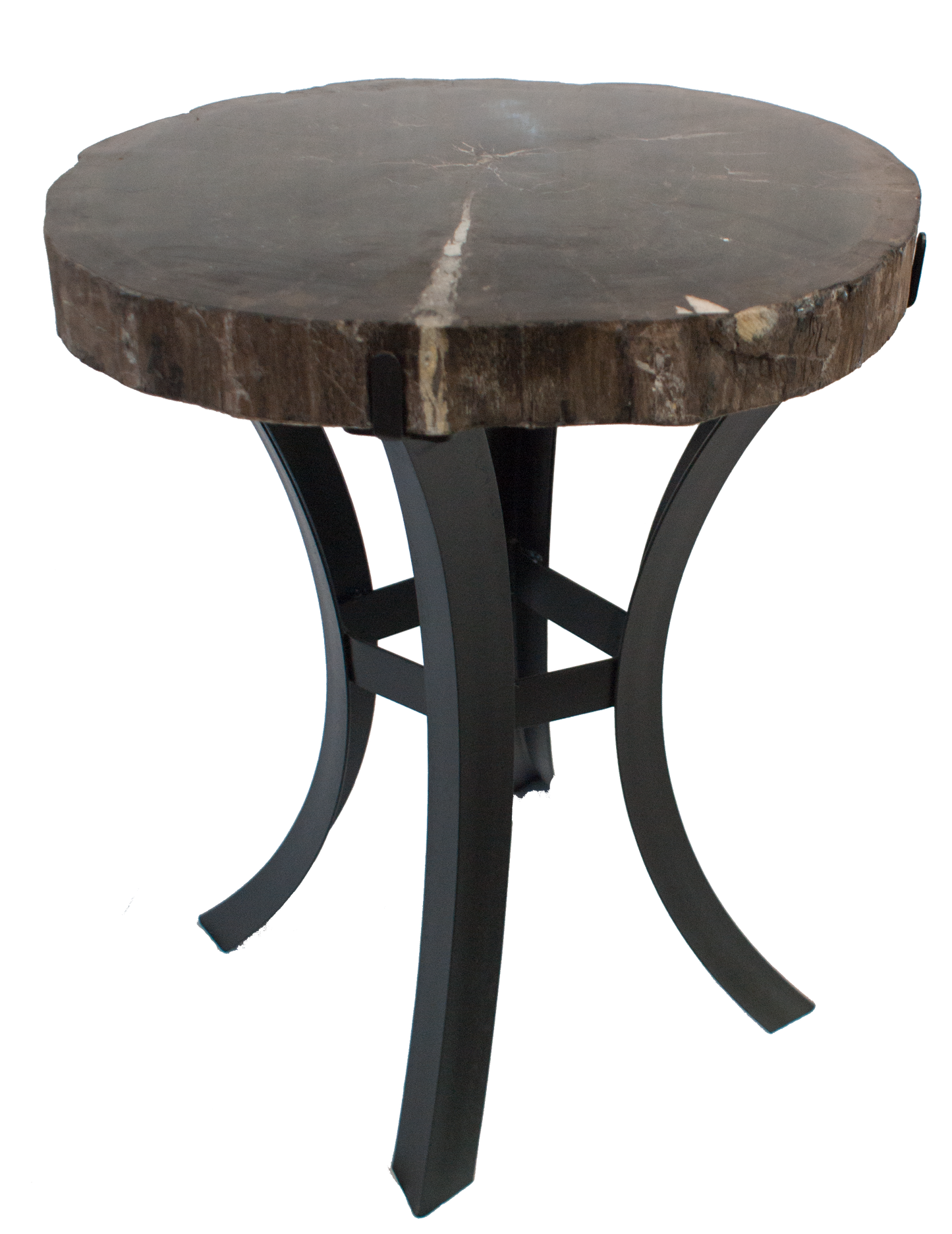 Petrified Wood Side Table w/ Iron Base