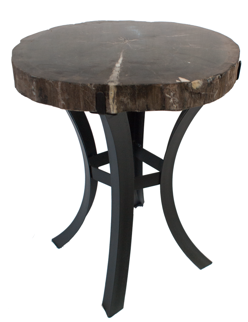 Petrified Wood Side Table w/ Iron Base