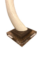 African Horn Finial on Lucite Base